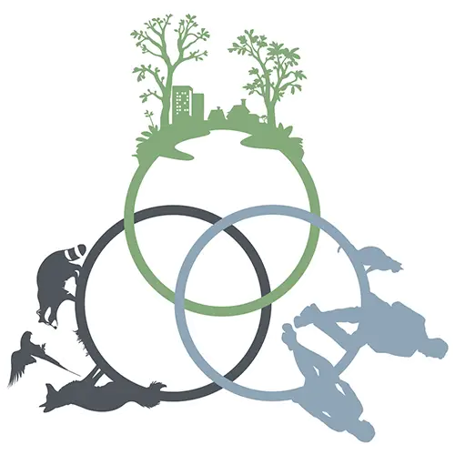 logo of Jérôme Gippet